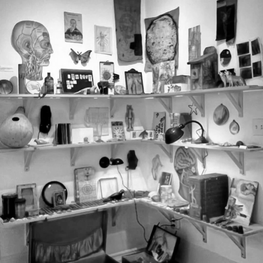 Black-and-white photograph of shelves filled with curiosities, anatomical illustrations and collected objects.